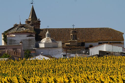 Free Church Flowers photo and picture