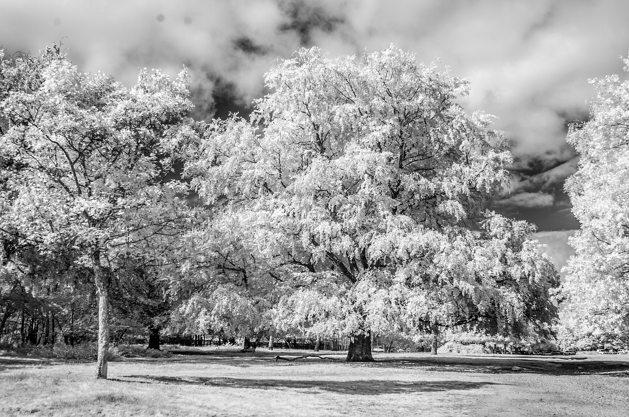 Download free HD stock image of Infrared Clouds Free Infrared Clouds photo and picture