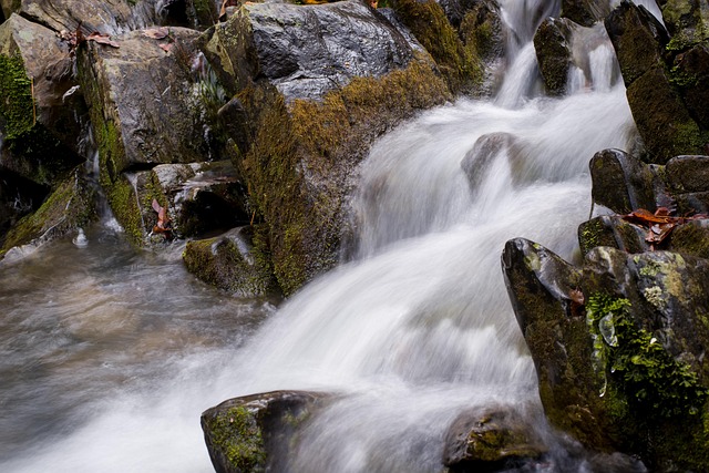 Wasser, Bachlauf, Eis, Kalt, Moos, Wald
