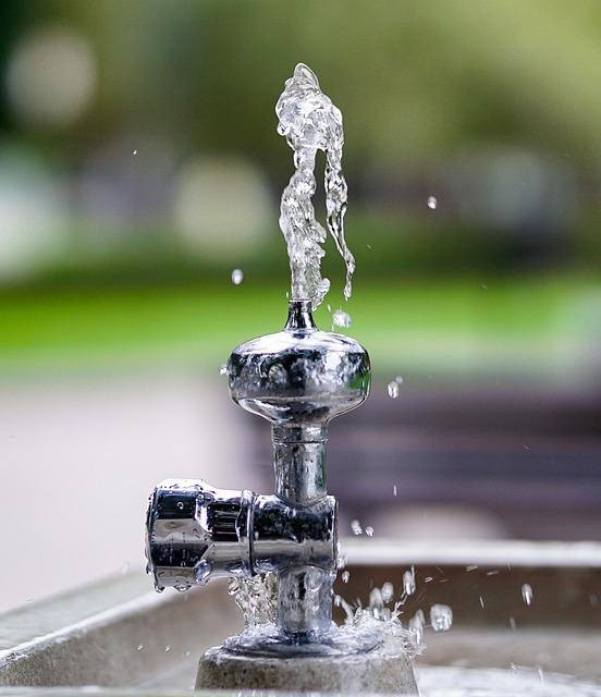 Free Water Drinking Water photo and picture