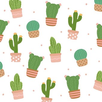 Cactus, Cactae, Suculente, Model
