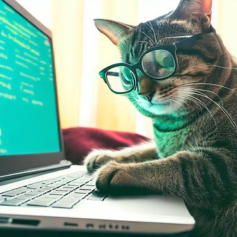 Ai Generat, Pisică, Programator, Laptop