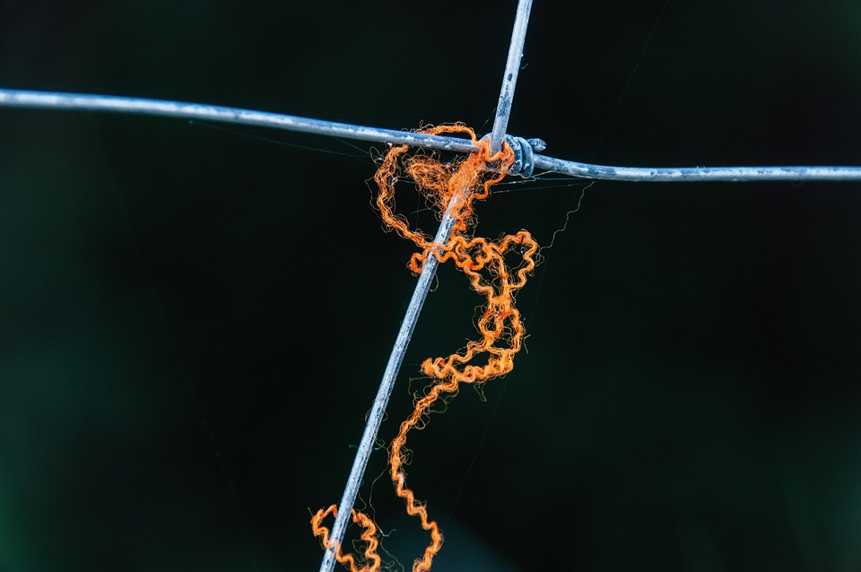 Threads Enhances User Experience with AI-Driven Trends and Improved Search Features - News Directory 3