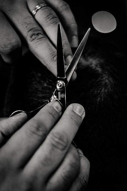 Free Scissors Barbershop photo and picture