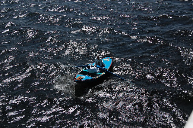 Free Boat Rowing photo and picture