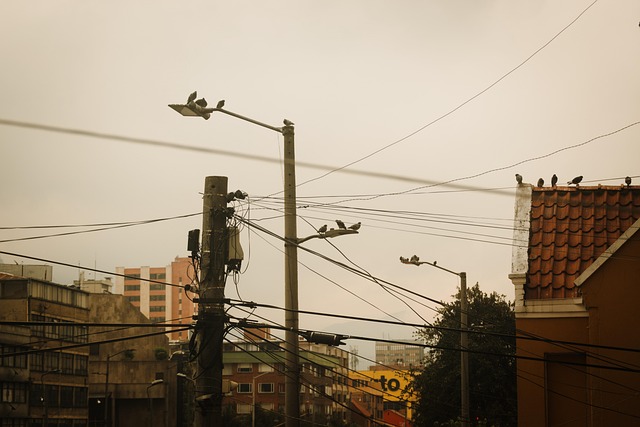 Free Bogota Colombia photo and picture