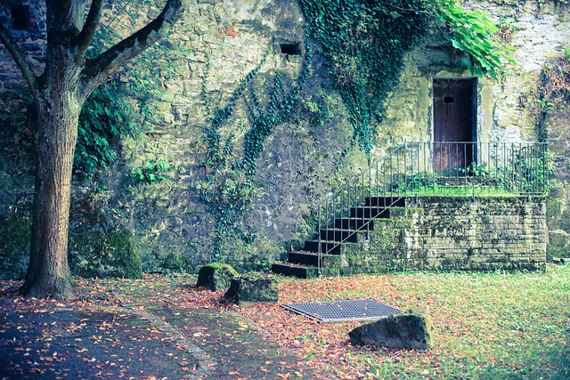 Free Backnang Door photo and picture