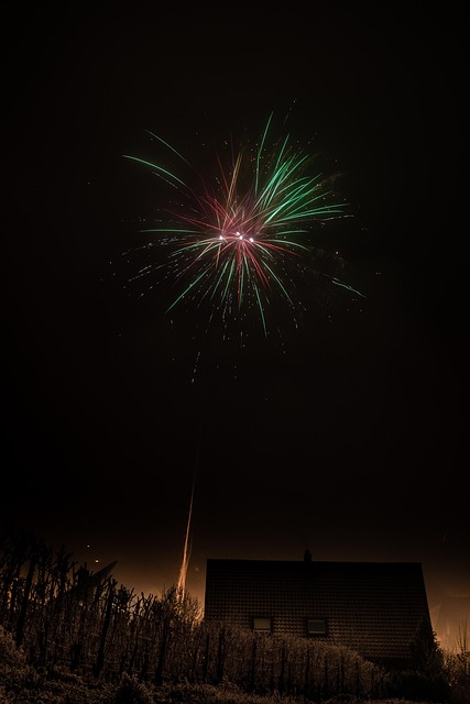 Free Fireworks Sylvester photo and picture