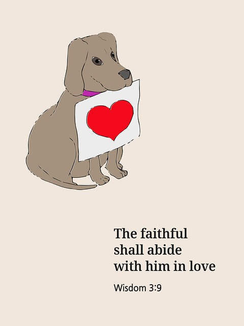 Free Wisdom Bible photo and picture