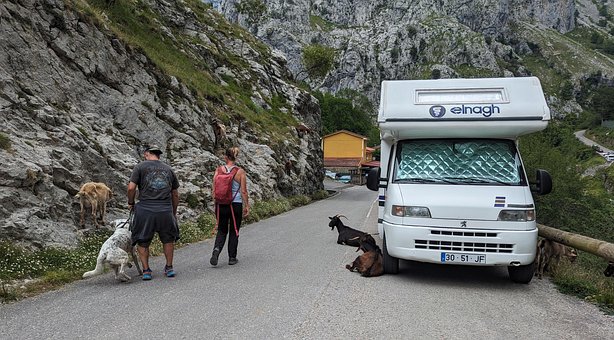 Toerisme, Hond, Geiten, Berggeiten, Rv