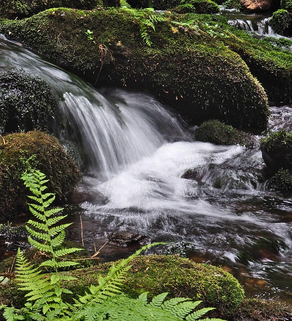 Free Waterfall Creek photo and picture