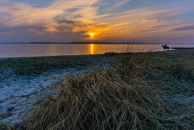Free Beach Sun photo and picture