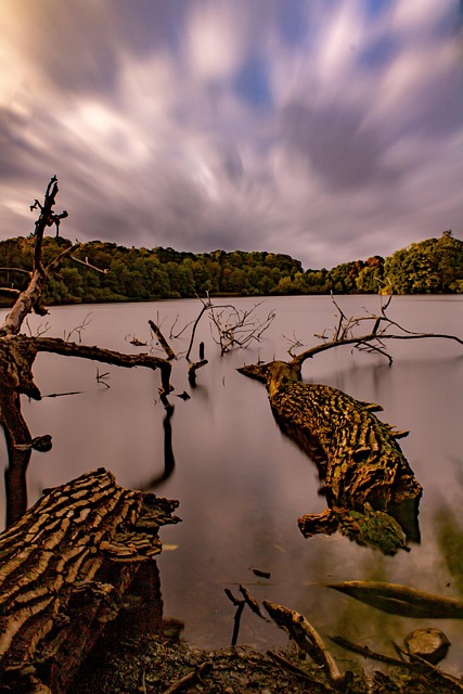 Free Nature Landscape photo and picture