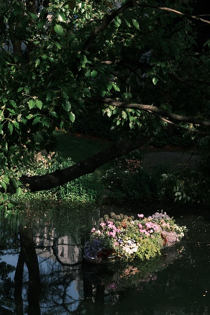 Free Botanical Garden Park photo and picture