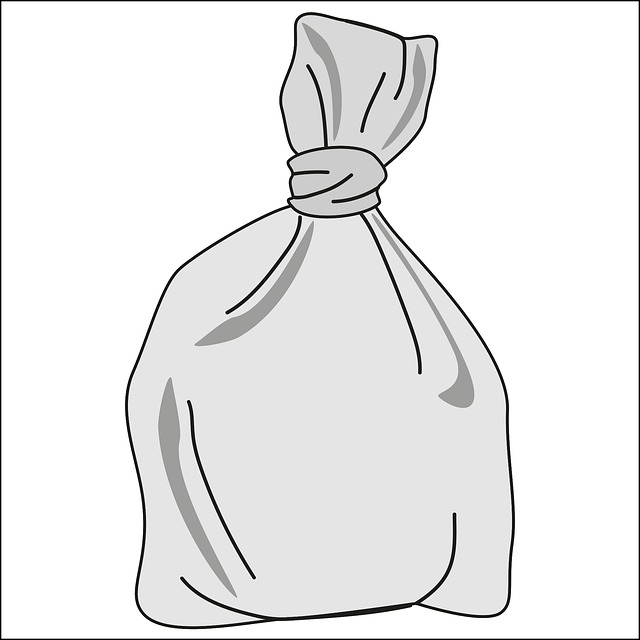 Free Bag Plastic Bag vector and picture