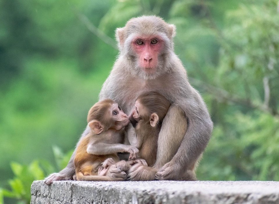 Mindful Motherhood: How to Stay Present with Your Kids Mindful Motherhood: How to Stay Present with Your Kids