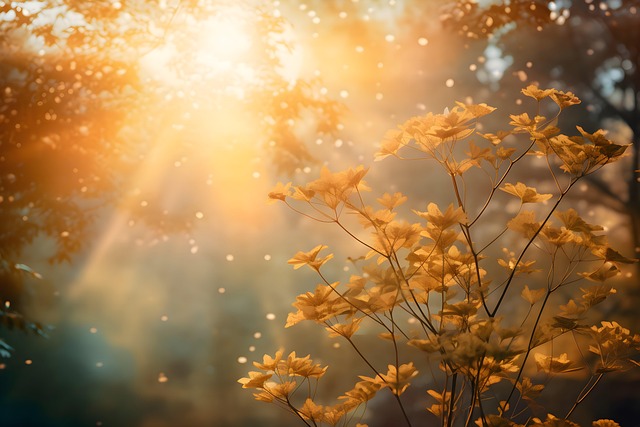 Free light background sun rays photorealism illustration