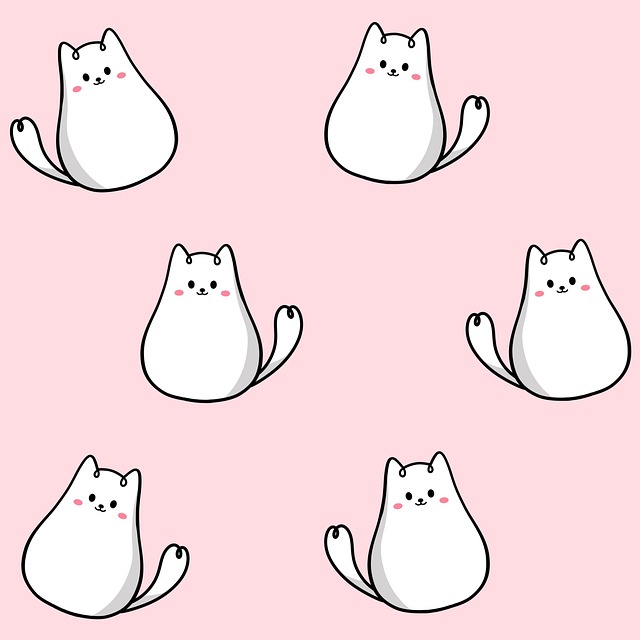 Gato, Gato Branco, Gatinho, Felino