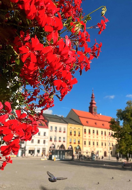 Jihlava, Platz, Masarykovo, Rathaus