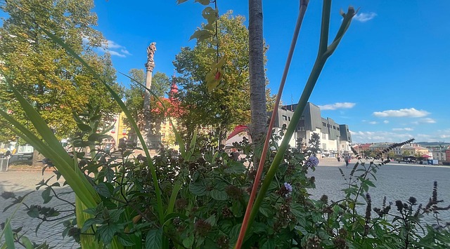 Jihlava, Platz, Vor, Masarykovo