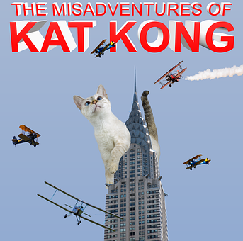 Kat, Dier, Katachtig, Kong, Tweedekker