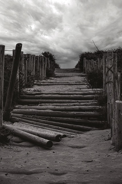 Free Beach Stairs photo and picture