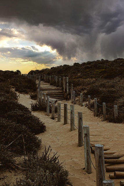 Free Beach Stairs photo and picture
