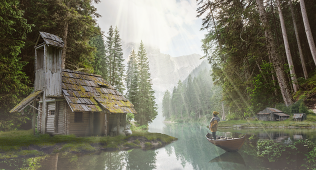 Kabine, Boot, Wald, Angeln, Fluss, Bäume