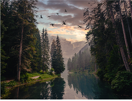 Berg, Kiefern, Fluss, Natur