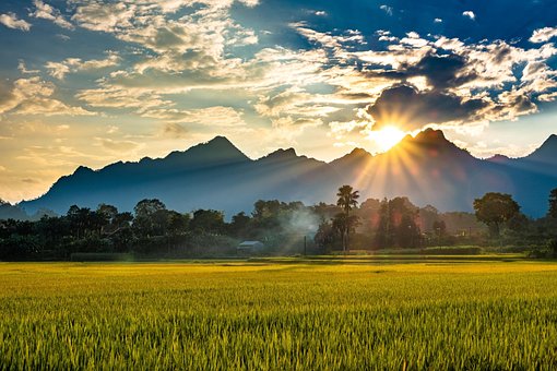 Natur, Solnedgang, Modne Rismarker