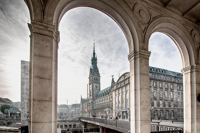 Free Town Hall Hamburg photo and picture