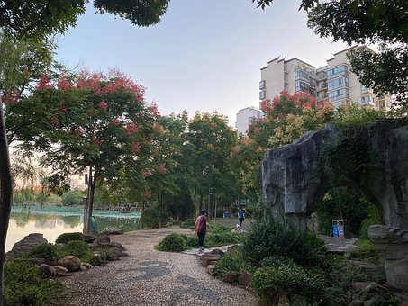 Free Albizia Walk In The Park photo and picture