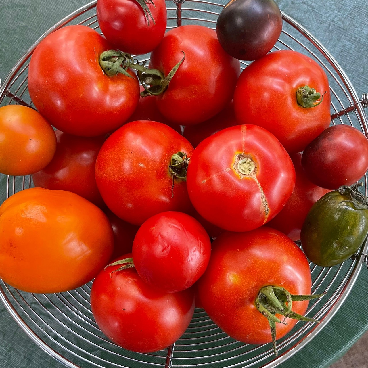 Tomaten Gemüse Lebensmittel - Kostenloses Foto auf Pixabay - Pixabay Tomaten Gemüse Lebensmittel - Kostenloses Foto auf Pixabay - Pixabay