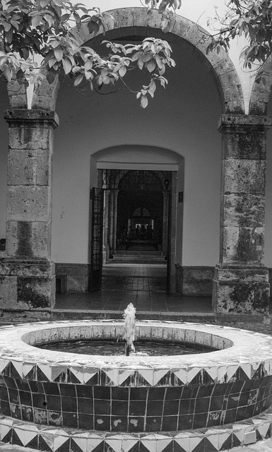 Free Source Water photo and picture