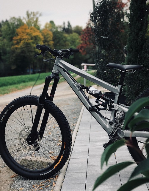 Free Bicycle Mountain Bike photo and picture