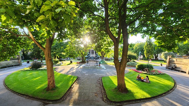 Garten, Natur, Landschaft, Sonntag
