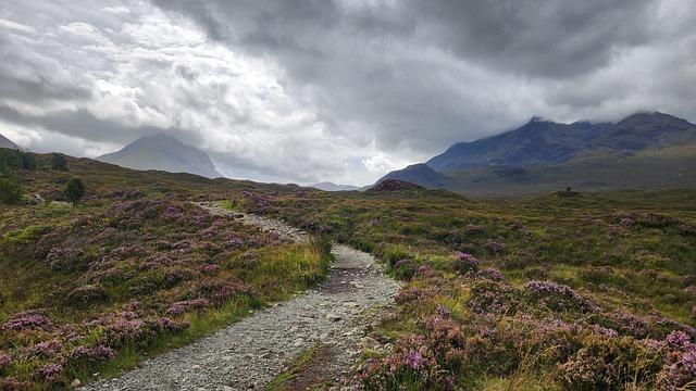 Straße, Berge, Schottland, Szene
