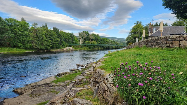 Fluss, Natur, Architektur, Blume