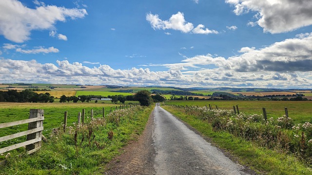 Natur, Landwirtschaft, Landschaft, Stadt