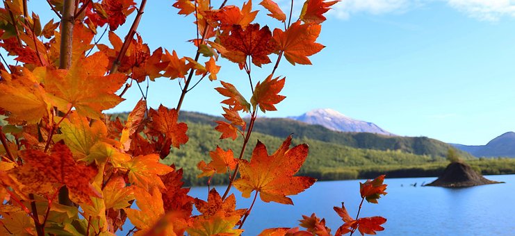 Free Fall Autumn photo and picture