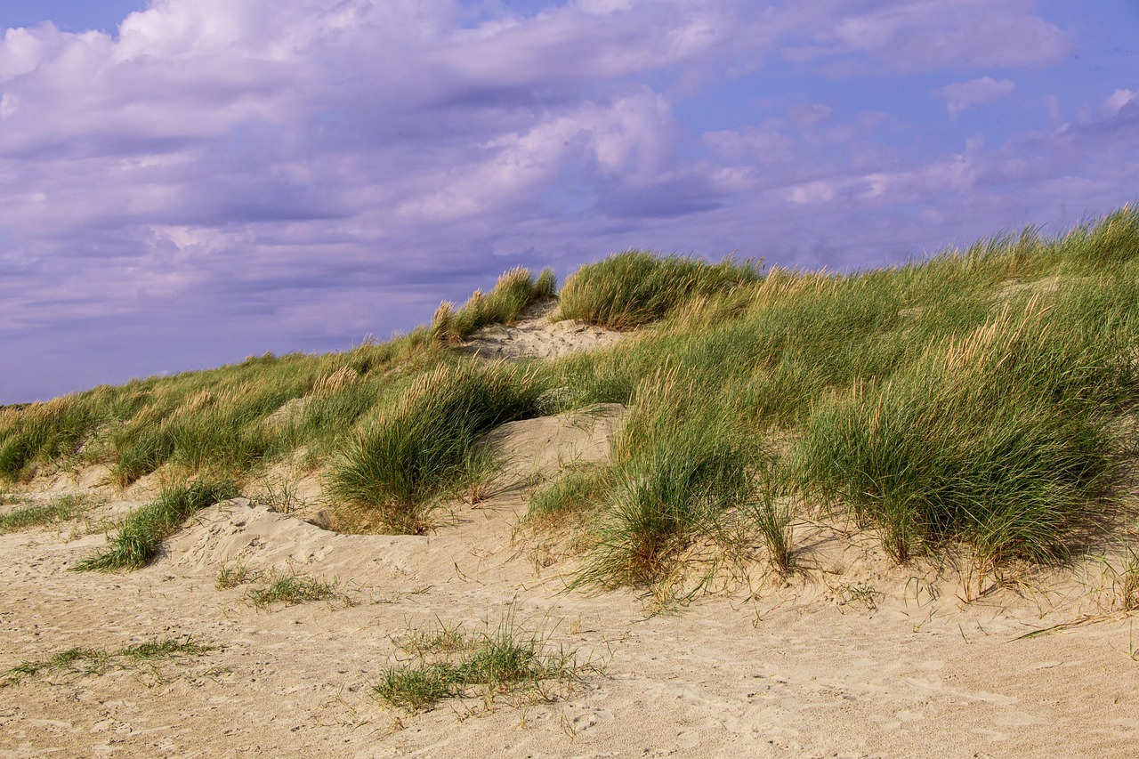 Dänemark Fanø Strand - Kostenloses Foto auf Pixabay - Pixabay