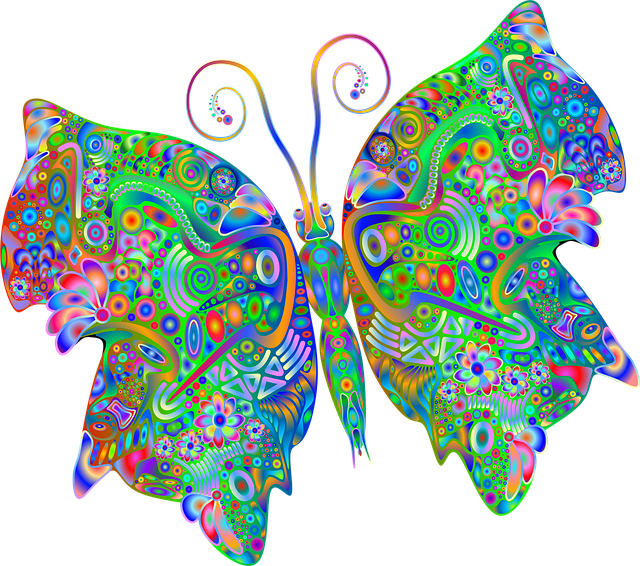 Free butterfly insect colorful illustration