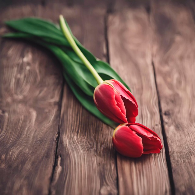 Ai Generiert, Tulpen, Blume, Rote Tulpe