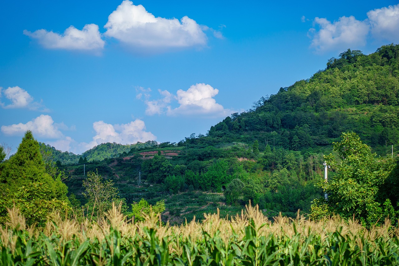 中国 成都 山 - Pixabay上的免费照片 - Pixabay