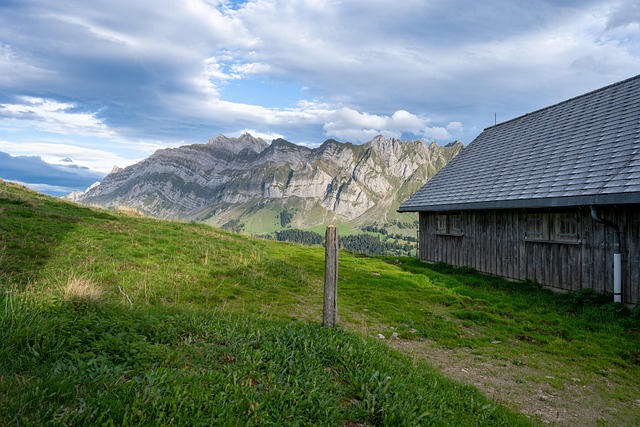 Free Alp Mountains photo and picture
