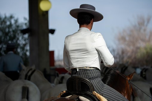 Free Horse Horses photo and picture