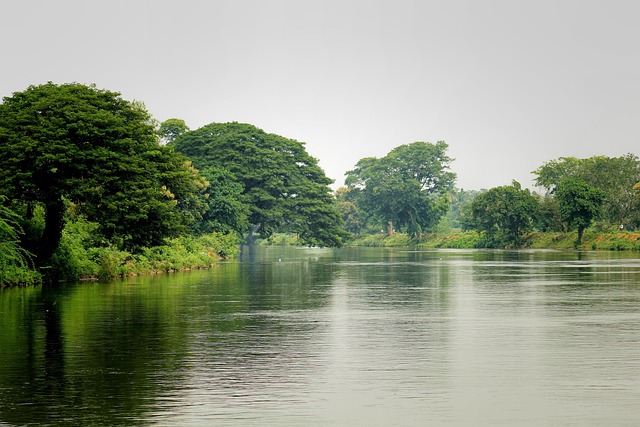 Fundo Do Rio Natureza Rio Fundo Da - Foto gratuita no Pixabay - Pixabay