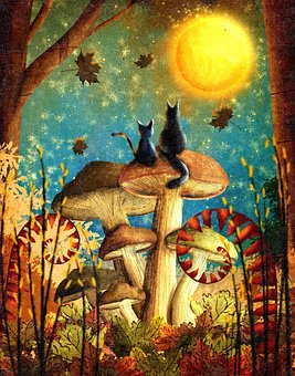 Free Cats Mushrooms illustration and picture