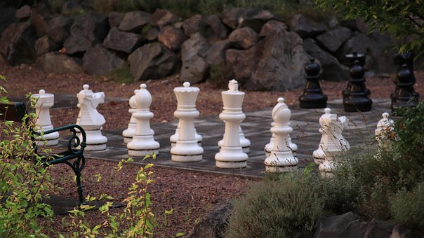 Free Chess Chess Game photo and picture