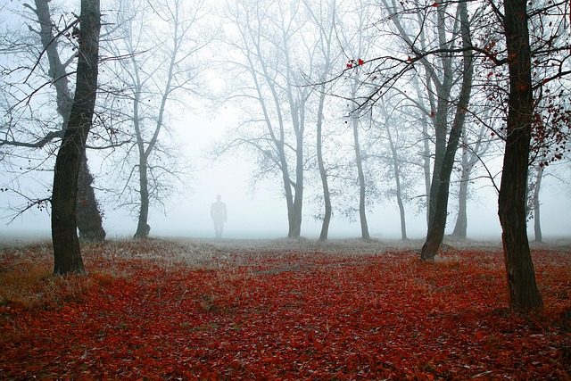 Free Autumn Nature photo and picture